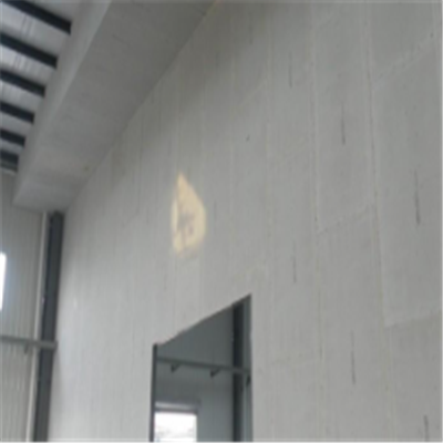 新民新型建筑材料掺多种工业废渣的ALC|ACC|FPS模块板材轻质隔墙板
